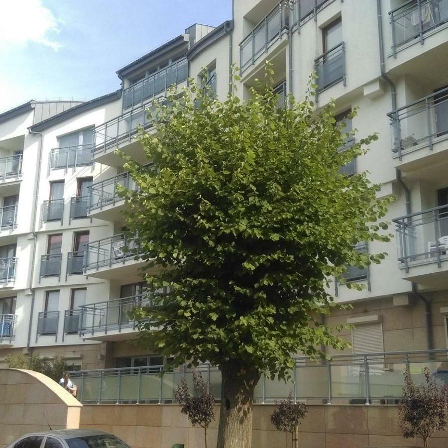 Apartament Flauta, Villa Marea Miedzyzdroje Bagian luar foto
